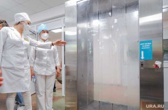 Челябинская область коронавирус статистика