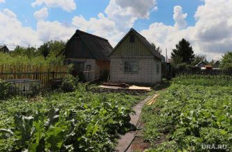 проверка огородов в Сафакулево