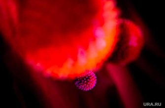 вирусолог рассказал о способе профилактики коронавируса