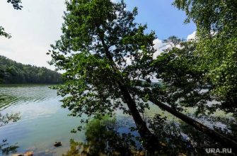 Челябинская область внутренний туризм облава штраф