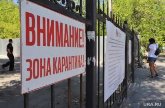 самоизоляция в Курганской области