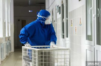 Челябинская область коронавирус 24 августа