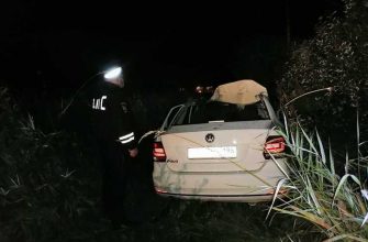 Екатеринбург Зеленый мыс лось ДТП