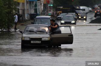 новости Курганской области