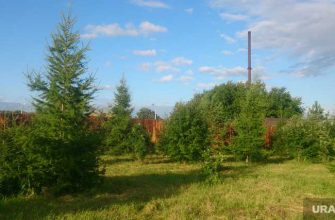 Замглавы свердловского города обвинили вымогательство