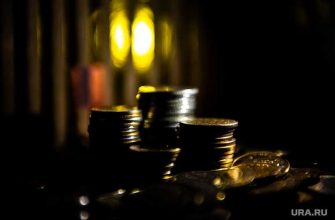 Жены депутатов заработки декларации