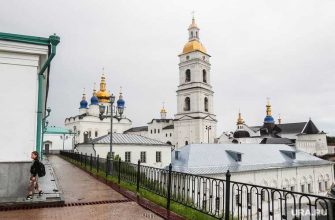 в Тюмени чиновники устроили вечеринку