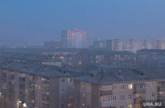 туман в Курганской области