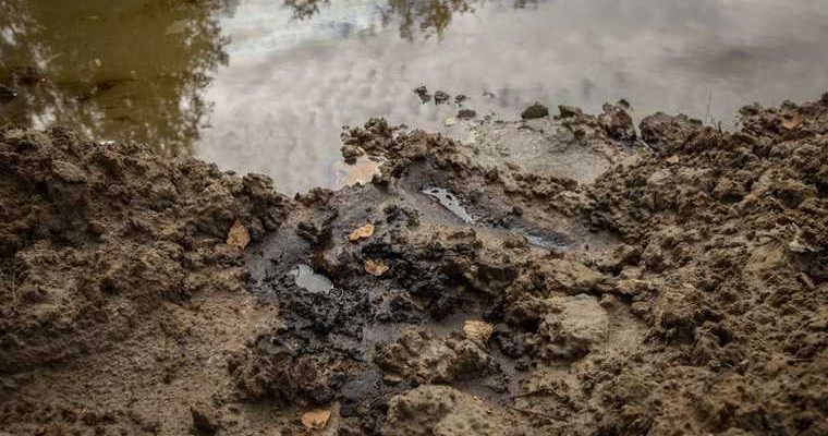 река Нумги Надымский район ЯНАО загрязнение нефтепродуктами