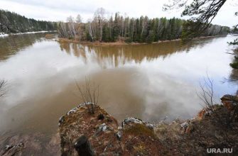 загрязнение реки чусовой