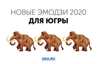 инсайды хмао