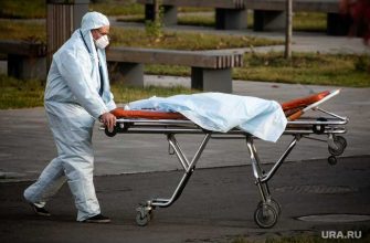 дистанционное обучение