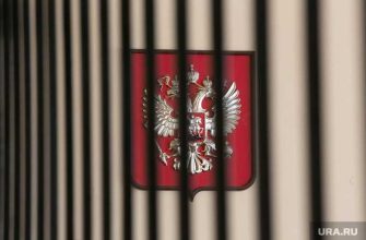 ооо авк евгений васин