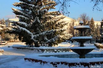 депутат гордумы