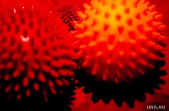 Меркель о коронавирусе