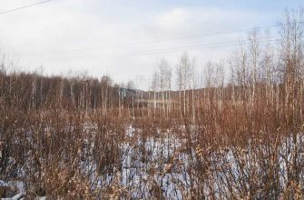 новый комплекс мусор Свердловская область экология