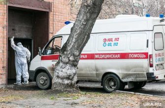 коронавирус статистика Свердловская область