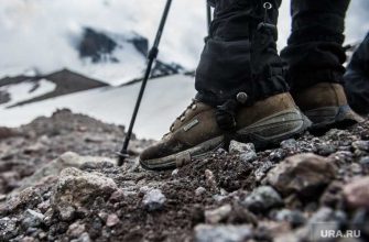 Туризм новый год мкртчян алексан