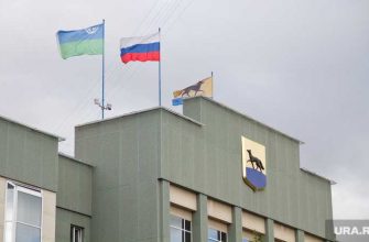 Вице-мэры Сургута Шмидт Кривцов Жердев