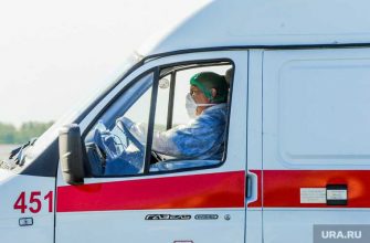 новости перми и пермского края