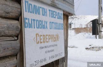 природоохранная прокуратура проверка Крутиха