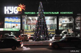 Челябинская область 31 декабря Текслер выходной