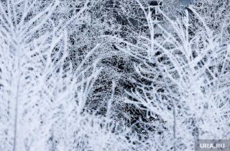 проблемы строительство Курган