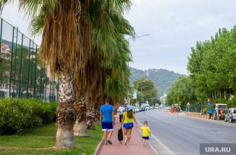 развлекательные мероприятия в Турции