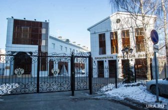 Есипова назначена природоохранным прокурором