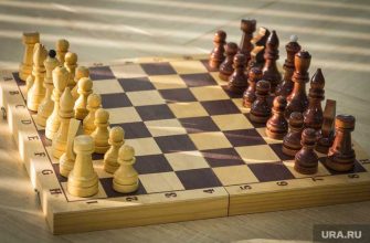 шахматы Югра