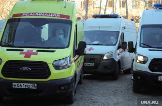 коронавирус Курган