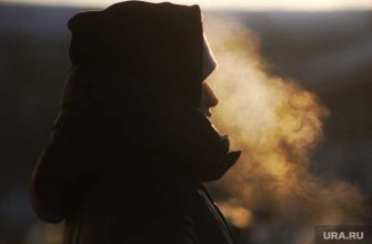 морозы Курган