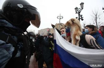 интервью Дмитрий Орлов