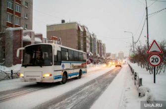 Ямальский поселок войдет в нефтехимический кластер — ледовые городки будут проверять — ученые займутся изучением климата Ямала — в Лабытнанги установят освещение после решения суда. Все самые интересные и важные новости ЯНАО