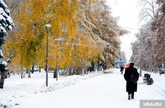 погода в Москве