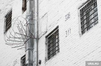 член ОПГ суд