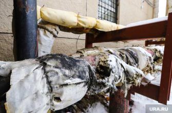 ШТС Курганская область