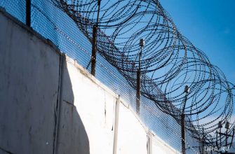 задержания на митингах