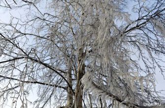 Челябинск погода мороз зима праздник ветер штормовое предупреждение МЧС Гисметео синоптики прогноз