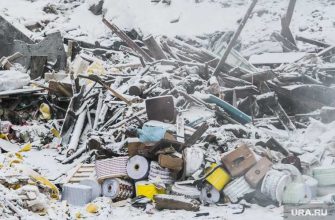 глава минприроды