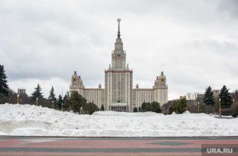 МГУ рейтинг учебная программа