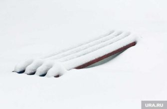 деревня в Подмосковье