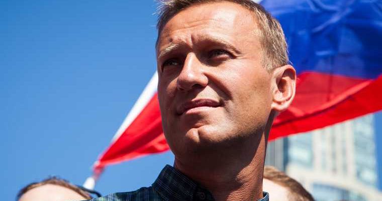 Путин навальный штраф 10 миллионов переводчики егоровы