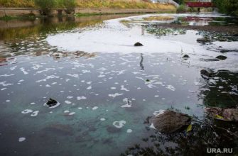 полпред президента РФ в УрФО Владимир Якушев