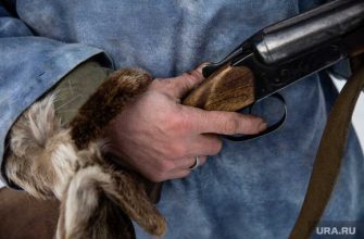 курганская полиция