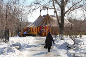 коронавирус Курганская область