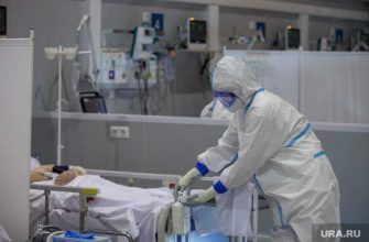 новыйштамм