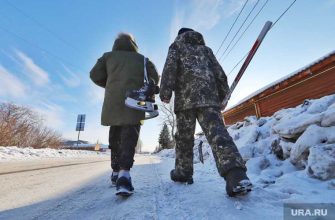 ледовая арена