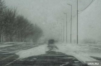 Погода Курган