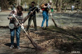 новости хмао предложил убирать двор мэр половинки молодой мэр объявил конкурс